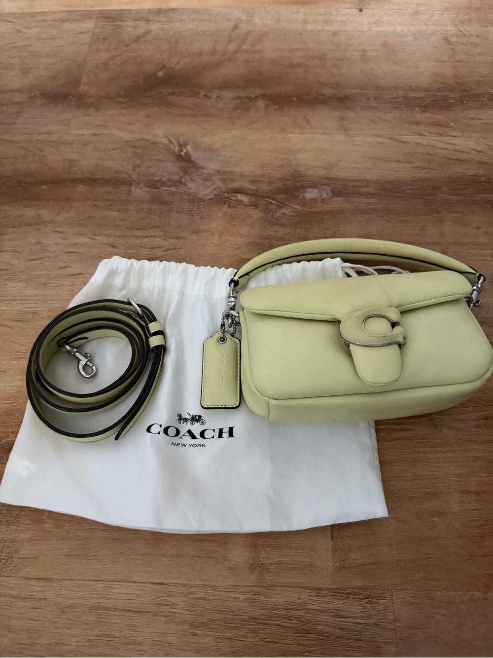 COACH Pillow Tabby 18 in Pale Pistachio Color